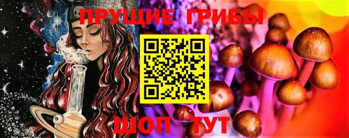 Псилоцибиновые грибы Magic Shrooms Родники